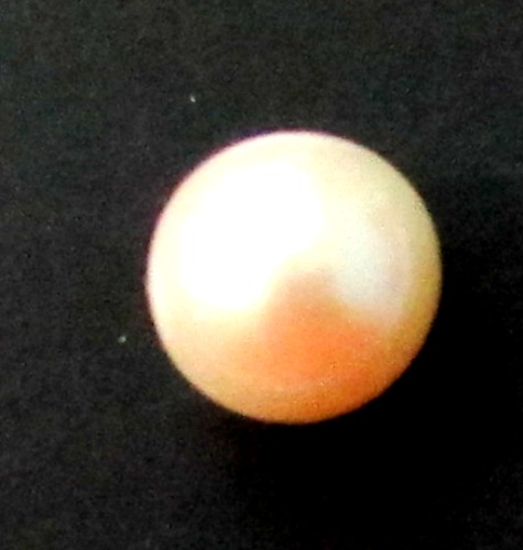 South Sea Pearl / Moti South Sea Pearl / Moti