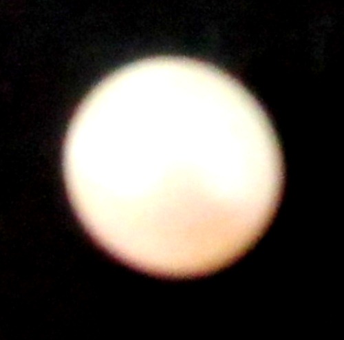 South Sea Pearl / Moti South Sea Pearl / Moti