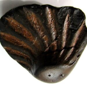 Sarvottam Sheshnag Shaligram