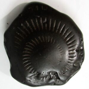 Adbhut Surya Shaligram