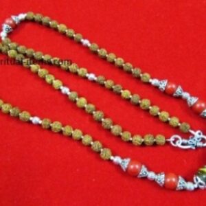 Rudraksha Coral And Tigers Eye Combination Mala