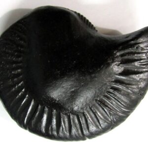 Kalptaru Mahavishnu Varha Shaligram