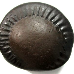 Sarvottam Surya Narayana Shaligram
