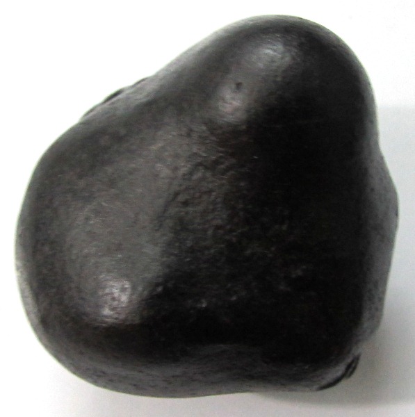 Sacred Kurma Mahalaxmi Shaligram