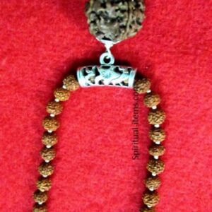 Rudraksha Combination Mala